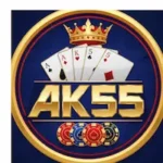 AK55 Game
